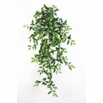 Tradescantia Hangplant 105cm